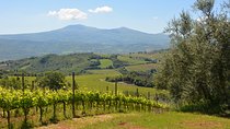 Elite Brunello di Montalcino wine tour w/3 wineries & lunch