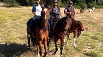 Rome : Horseback Riding with meals and wine included 