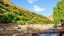 Private Day Trip from Marrakech to the Atlas Mountains