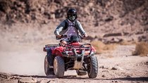 Quad biking in the palm grove of Marrakech