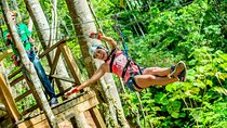 Treetop Zipline Experience From Castries