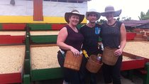 3-Day Colonial Coffee Trail