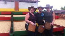 Mother Laura Coffee Tour of Jerico from Medellin