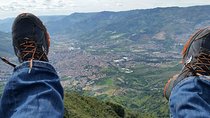 Private Medellin Paragliding and Christmas Lights Tour