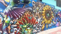 Full Day Private Medellin City, Street Art and Food Tour