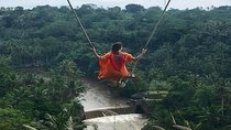 Experience Full Day to Bali Swing Temple and Monkey Forest