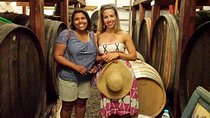 Private Tour: Ancient Akrotiri and Santorini Wineries Tour