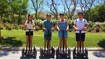 Valencia 3 Parks Private Segway Tour.