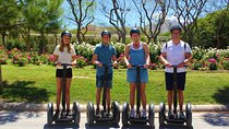 Cabecera Park Private Segway Tour