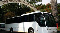Victoria Falls Airport Shuttle