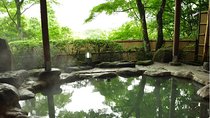 Relaxing Hot Spring Half Day Tour in Beitou with Private Tour Guide