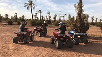 Half Day Tour Quad In Palm Golve , Desert ,Marrakech
