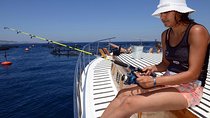 Fishing Trip with Hotel Transfers From Marmaris and Icmeler Area