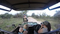 6 Day Lodge and Treehouse Kruger National Park Safari