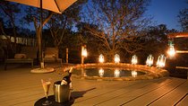 5 Day Katekani Lodge Kruger National Park Safari