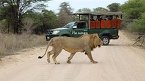 5 Day Classic Kruger National Park Safari