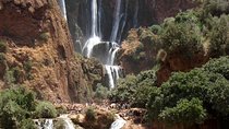 Ouzoud Waterfall Day Trip from Marrakech