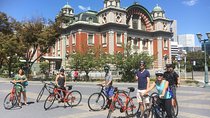 One-Day Osaka Bike Adventure: 5–6 Hours