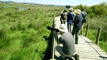 Private Birdwatching from Porto
