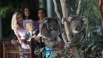 Australian Wildlife Tour at Melbourne Zoo Ticket - excl. entry