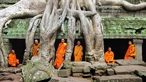 Angkor Wat Temples Tour with Entrance Ticket and Lunch