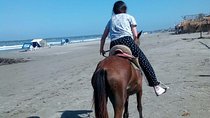 Horse Riding in Cartagena