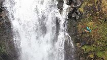 Waterfall Rappelling at Kulaniapia Falls: 120 Foot Drop, 15 Minutes from Hilo