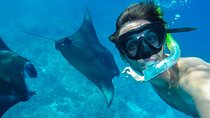 Snorkelling in Nusa Penida - Manta Point
