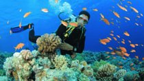 Scuba Diving Tour