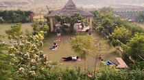 Yoga In Jaipur