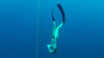 Discover Freediving course