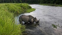 Budget Tour in Chitwan and Pokhara, Nepal