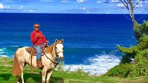 West Maui Mountain Waterfall and Ocean Tour via Horseback