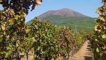Vesuvius & Vineyard select from Sorrento