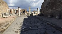 Day Tour of Pompeii Herculaneum and wine tasting