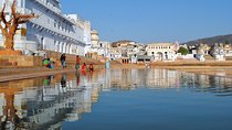Same Day Ajmer Pushkar Tour