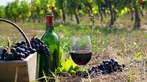 The Nemea wine roads with breathtaking Nafplion private tour