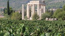 Nemea wine roads, The most famous wine tour in Greece