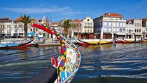 Private Tour to Coimbra, Aveiro and Costa Nova 