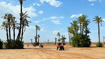 Marrakech Desert and Palm Grove Quad Bike Tour