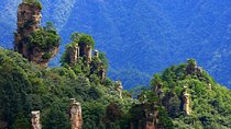 Zhangjiajie National Forest Park Day Tour Including Lunch