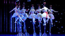 Beijing Evening Tour Of Acrobatics Show With Private Transfer