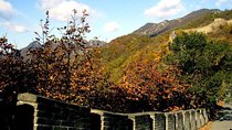 Private Beijing Airport Layover Tour With Mutianyu Great Wall Including Lunch