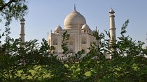 Day Trip - Private Tour from Delhi to Agra with Taj Mahal, Agra Fort & Itmad-ud-Daulah