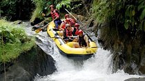 Ubud White Water Rafting on the Ayung River with Pickup & Lunch