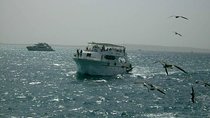 Private sea trip Hurghada