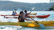 Pittwater Discovery Kayaking Tour
