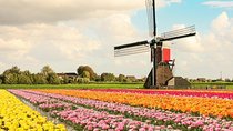Windmills & Keukenhof Gardens and Tulip Fields Tour from Amsterdam
