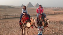 Sunset Camel Ride around the Giza Pyramids Desert