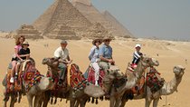 Giza pyramids,Sakkara pyramids &Memphis Include Lunch &Camel ride